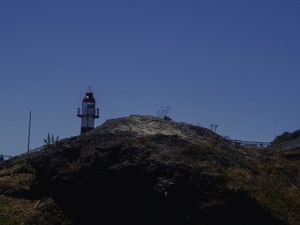 Niebla