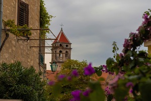 Omis