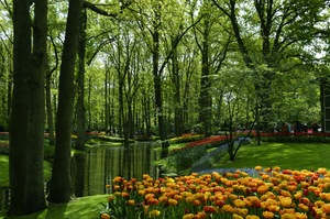 Keukenhof Gardens, Lisse