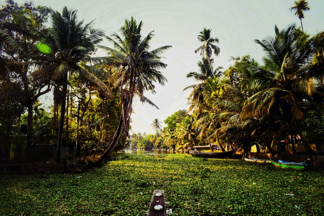 Kerala Backwaters Short Cruise