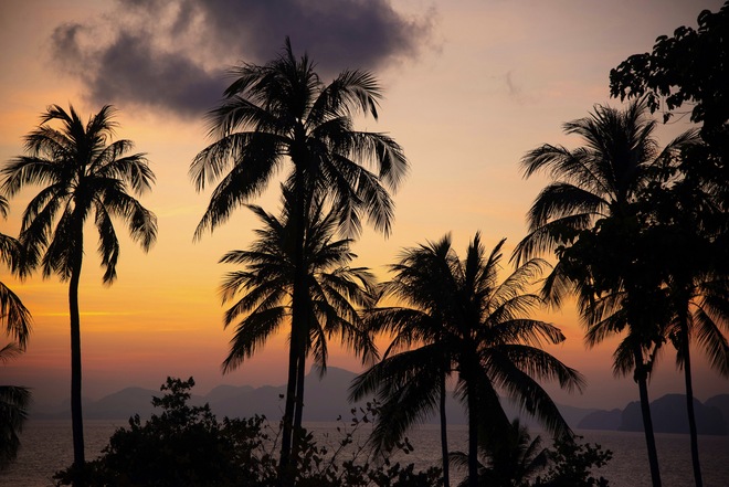 Treasures Of Thailand & Chiang Mai Cruise Tour