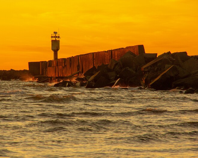 Baltic Beauty