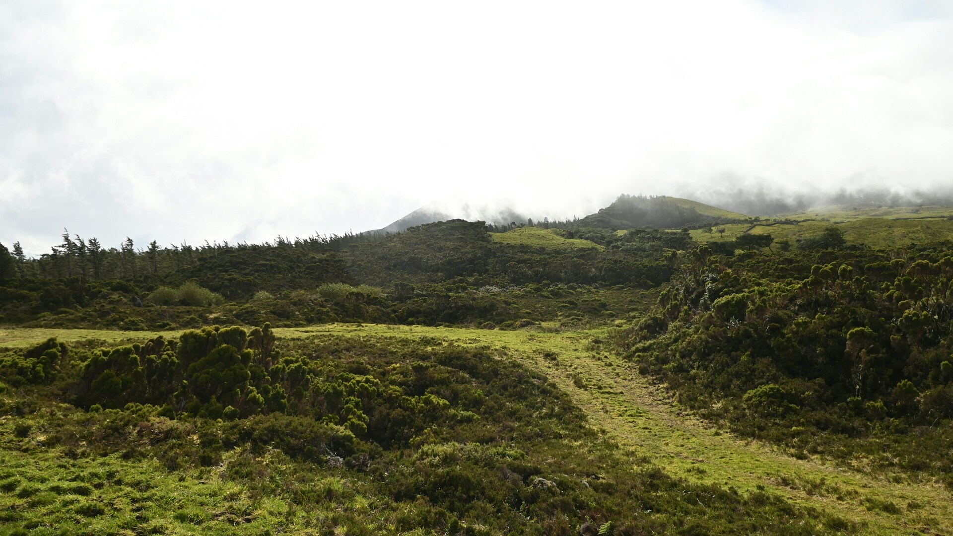 Cruise Image 1