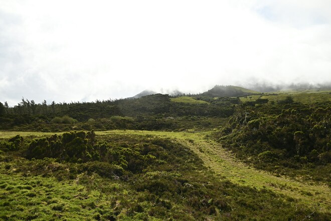 The Essential Azores