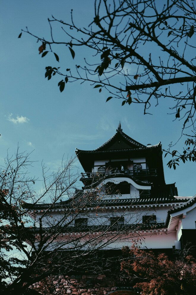 Japan's Golden Highlights