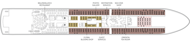 Main Deck 6