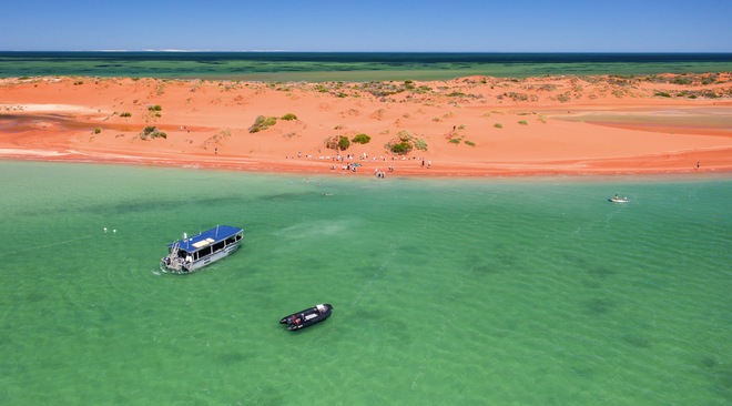 Shark Bay Wildlife Cruise