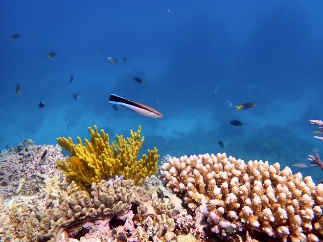 Esperance Wildlife Cruise