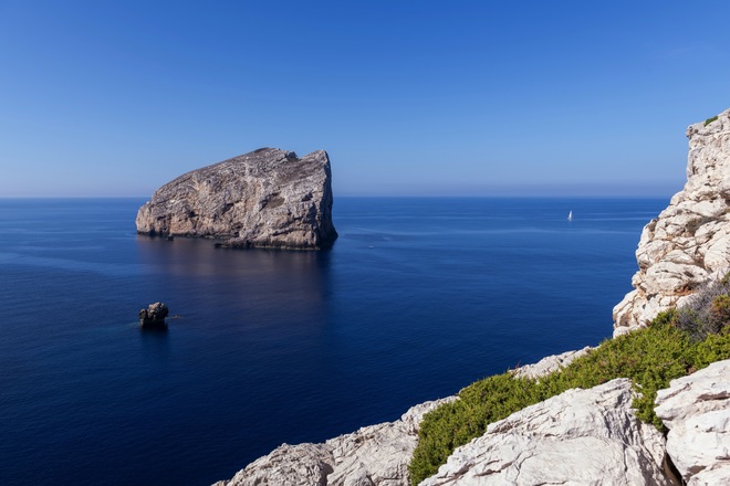 Shore Excursions