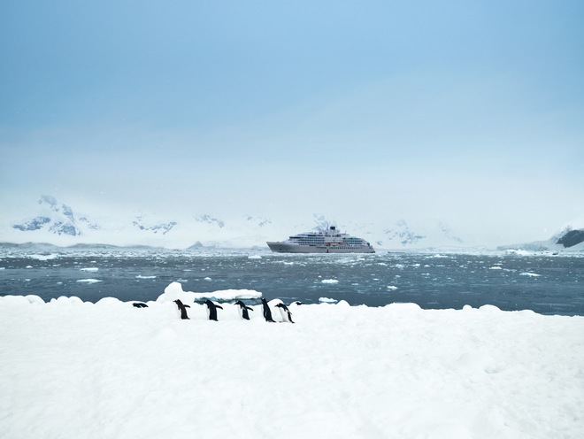 Expedition Experiences