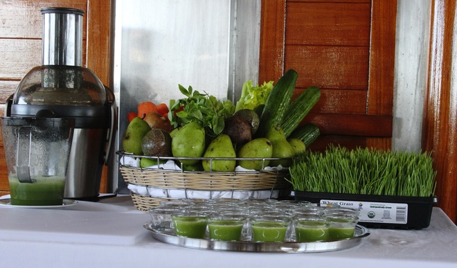 Plant-Based & Organic Cuisine at Sea