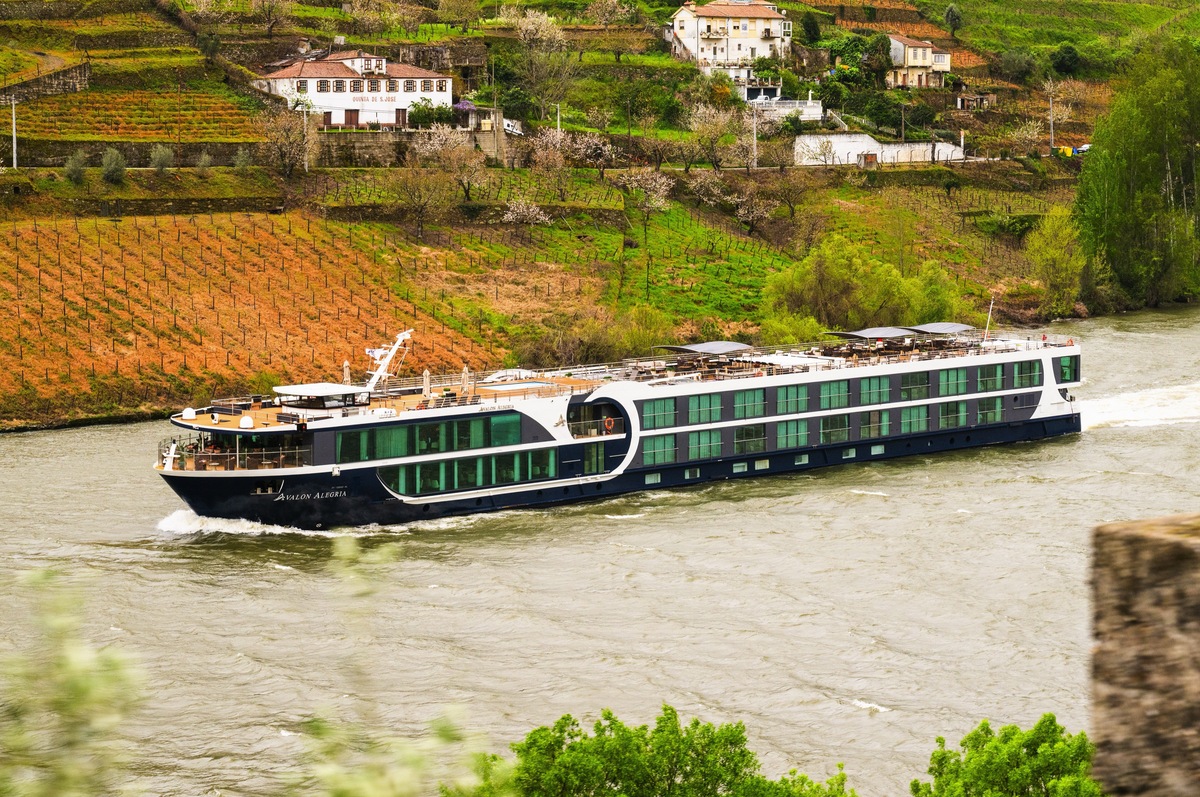 Festive Season on the Douro